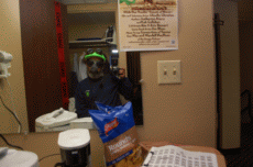ValleyCon 37 - 2011